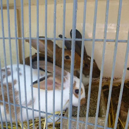 Camping De Warincthun Audinghen Kültér fotó